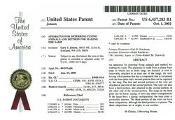 Triad US Patent